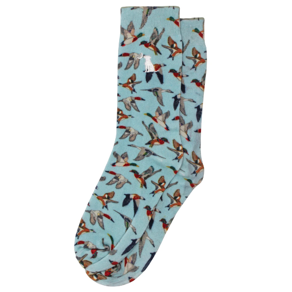 Local Boy Dress Socks