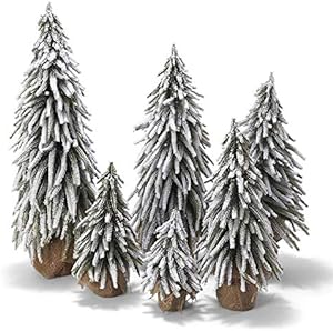 Snow Covered Trees