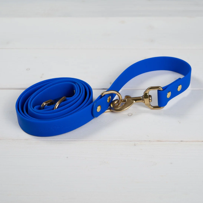 Good Boy - Dog Leash