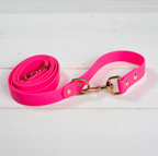 Good Boy - Dog Leash