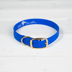 Good Boy - Dog Collar