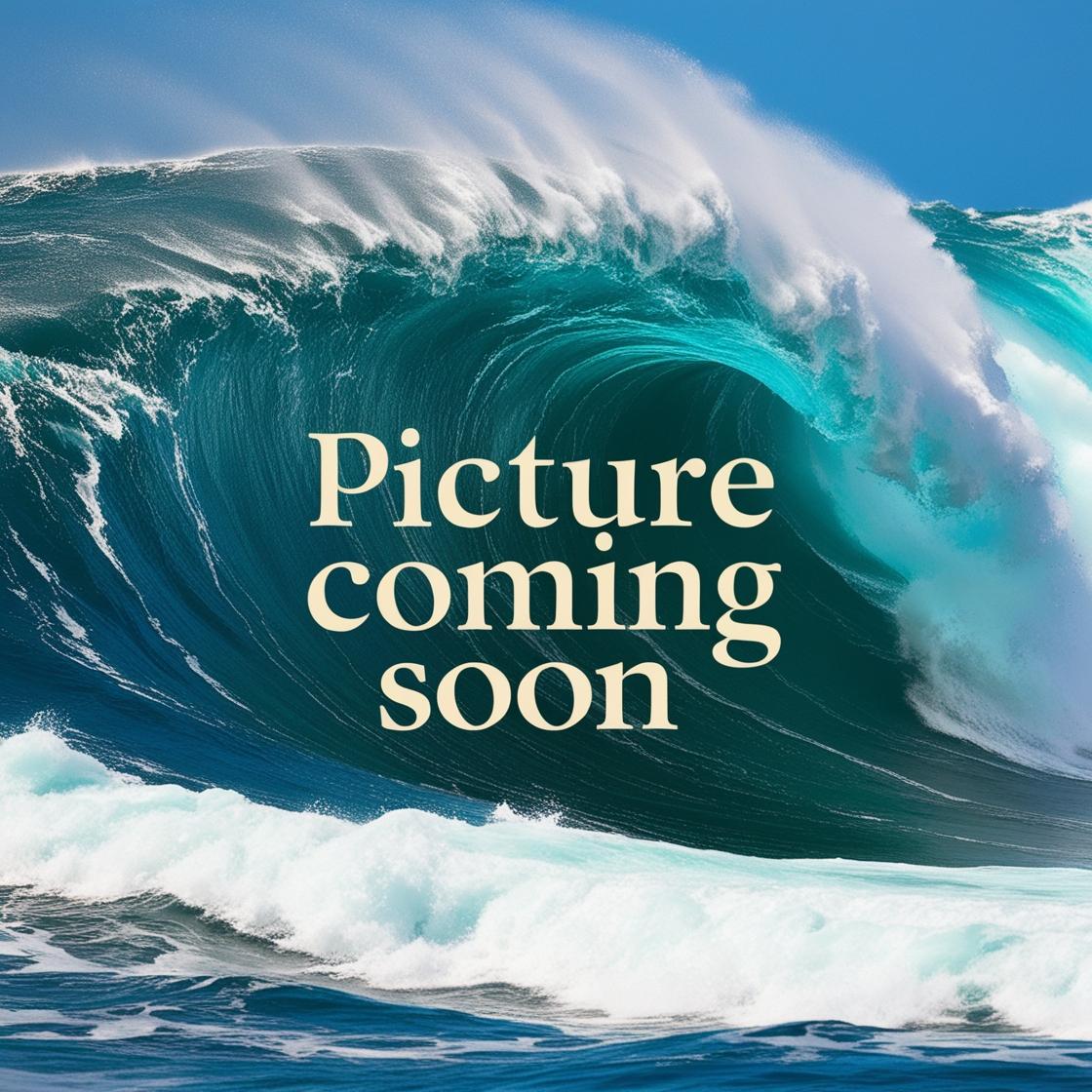 Lowtide Hybrid Shorts