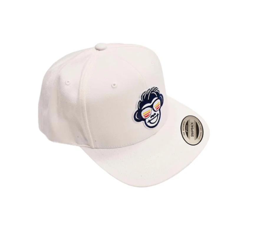 3D Logo Flat Bill Classic Snapback