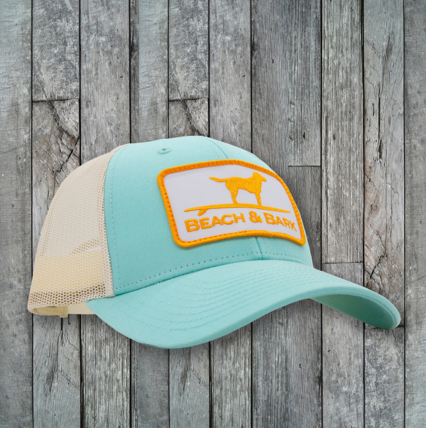 Beach & Bark Medium Snapback Hat - Aruba Blue/Birch