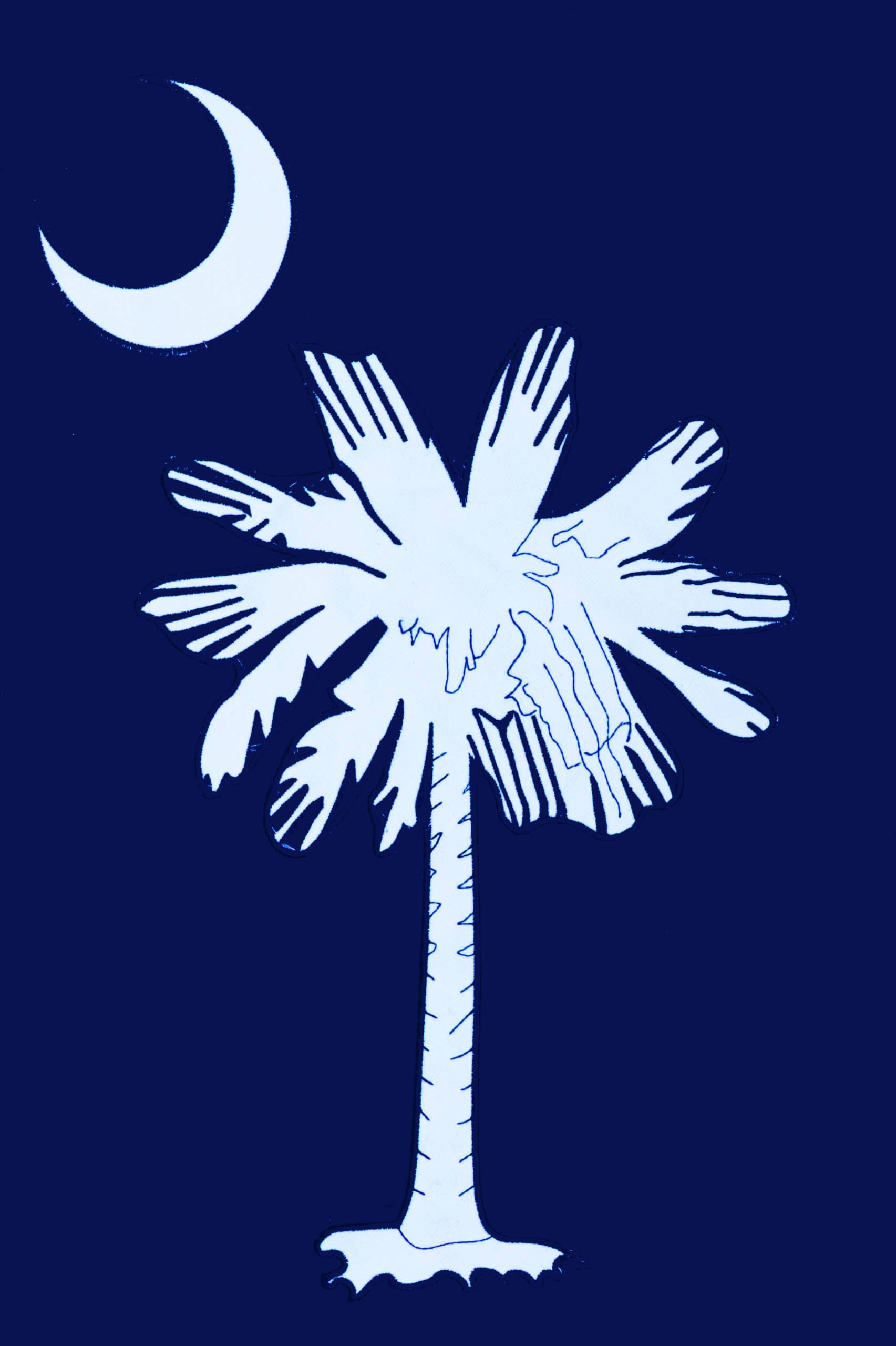 Applique Palmetto Flag 28x40